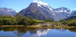 Work and Travel Neuseeland