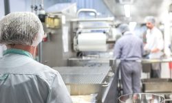 Gastro Jobs Kanada Arbeit in der Großküche
