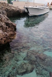 Blue Lagoon Erfahrungsbericht Praktikum Malta