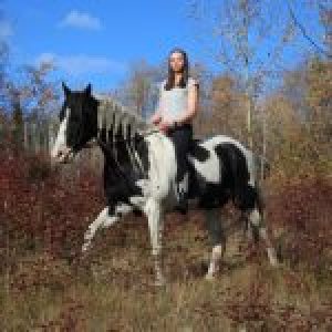 Erfahrungsbericht Farmstay Kanada Alissa - Unterwegs auf dem Pferd